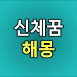 신체꿈해몽